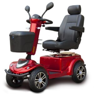 image-409.jpeg Quadriporteur RZ1000