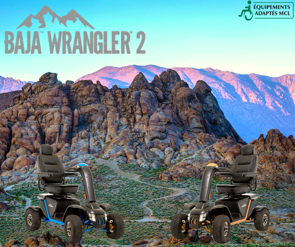 Quadriporteur de sentier Baja Wrangler 2