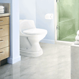 Élévateur de base de toilette Toilevator