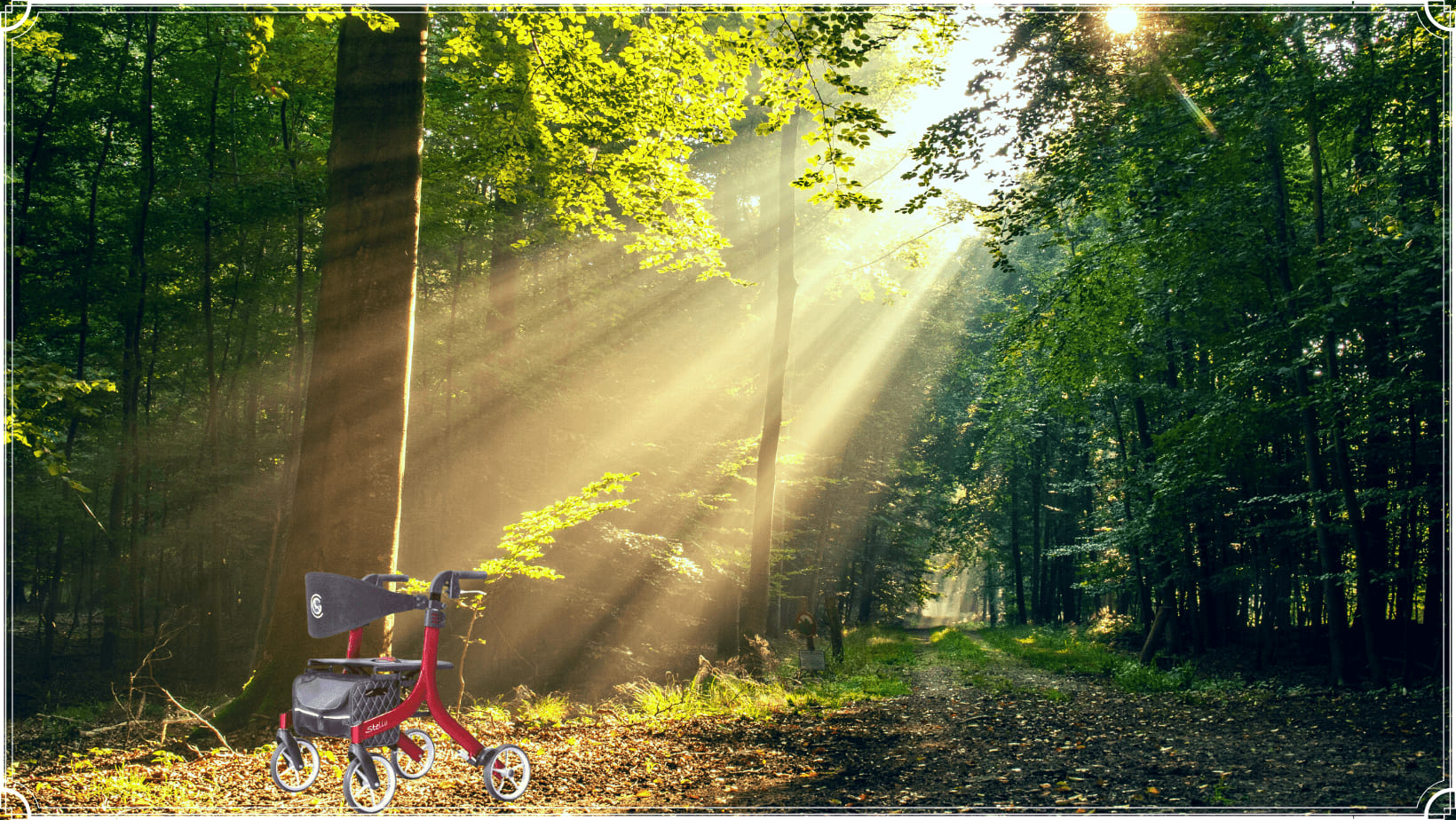 Comment utiliser un déambulateur?